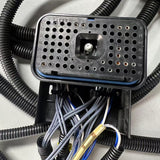 Automotive wire harness
